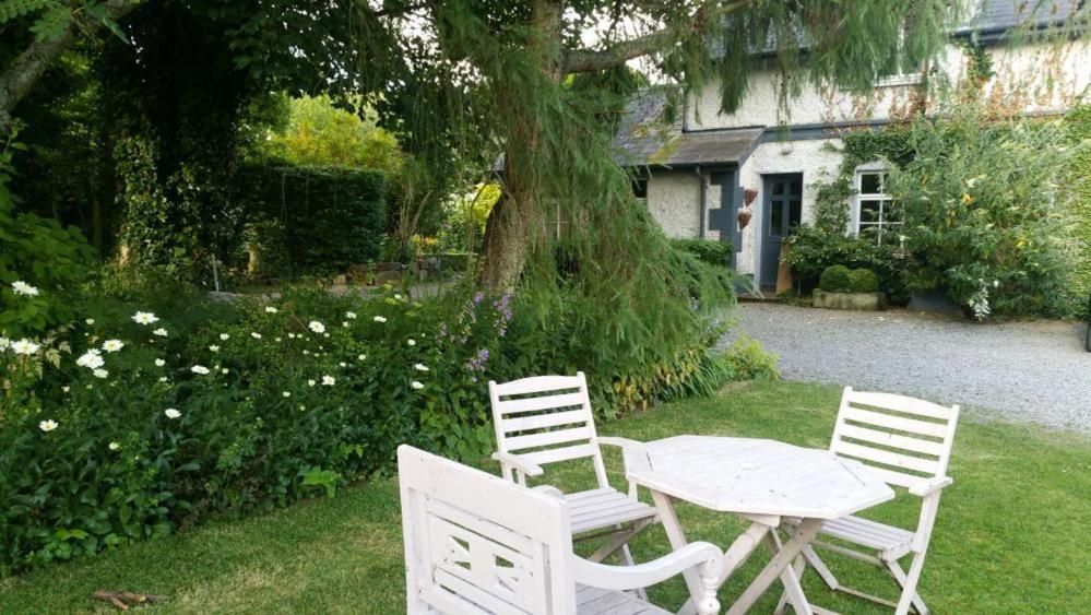 The Old Goathouse Hotell Kildare Exteriör bild