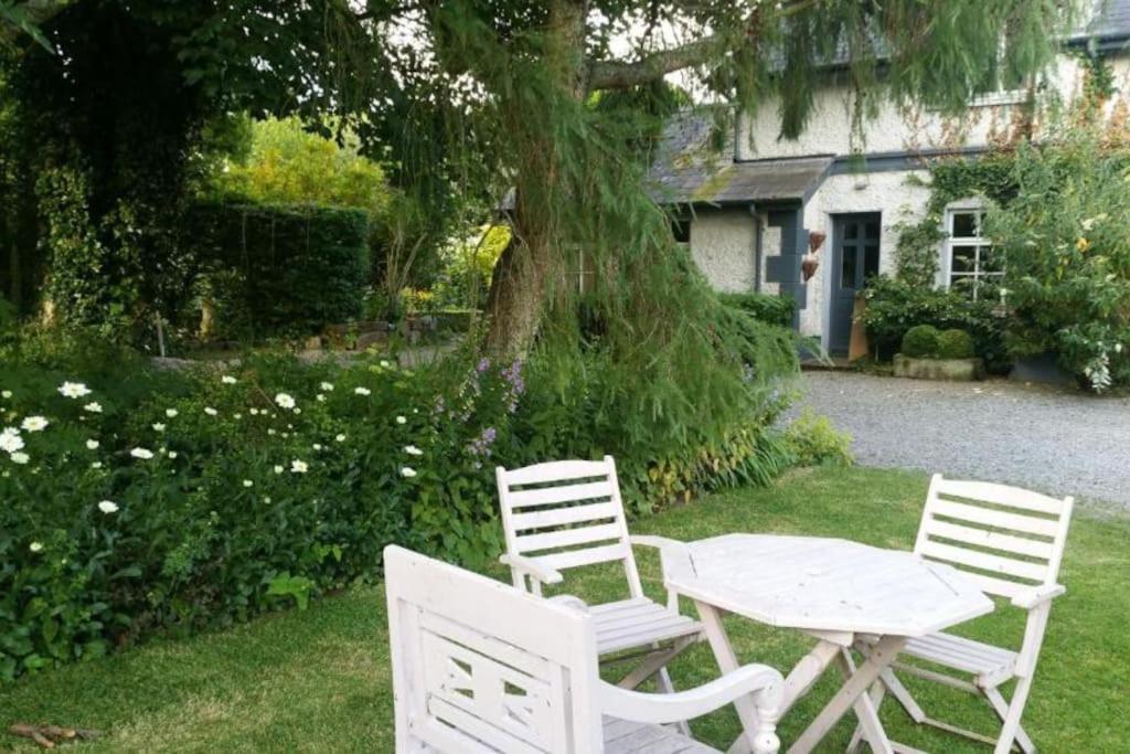 The Old Goathouse Hotell Kildare Exteriör bild