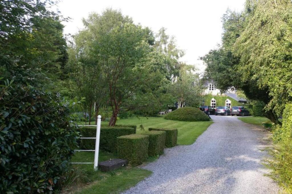 The Old Goathouse Hotell Kildare Exteriör bild