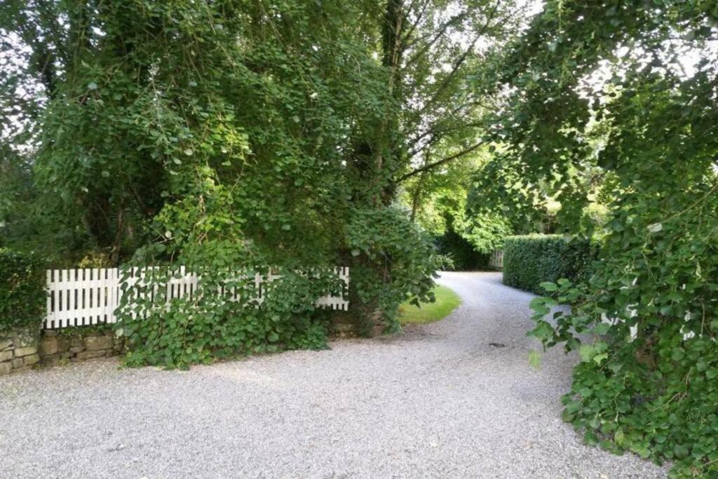 The Old Goathouse Hotell Kildare Exteriör bild